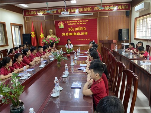 Trường TH Kim Sơn tổ chức bồi dưỡng cán bộ, ban chấp hành liên đội, chi đội